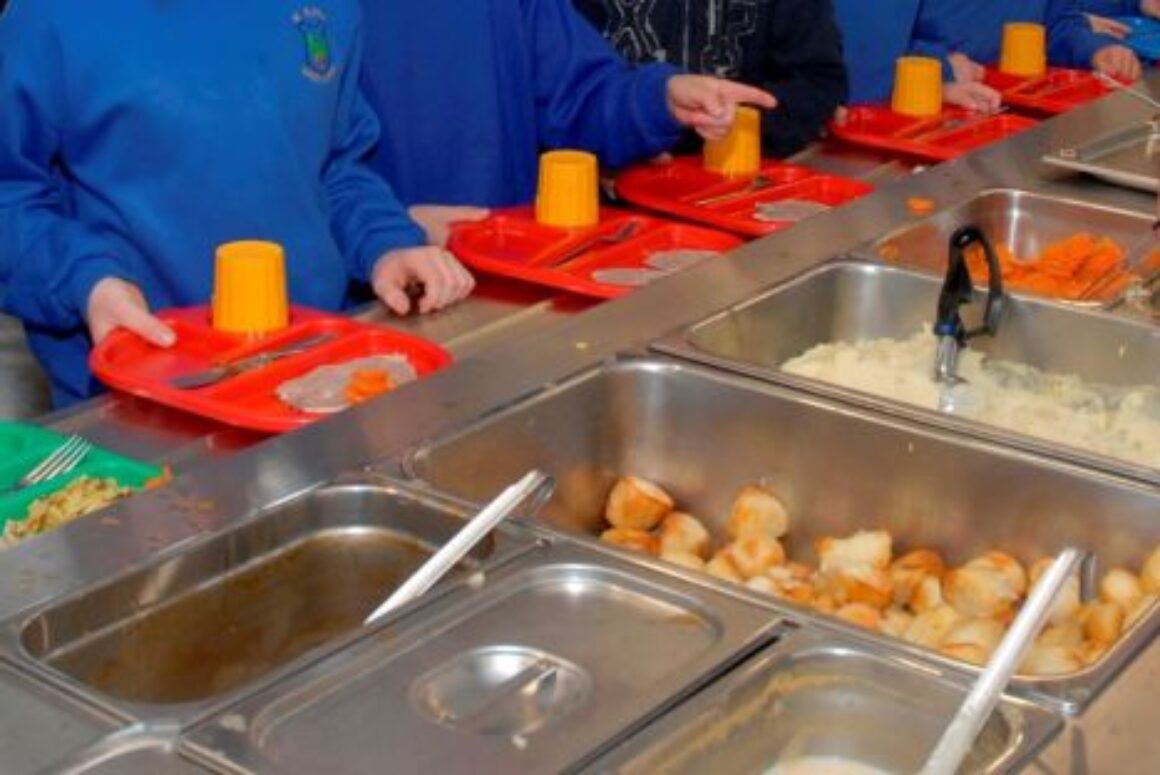 From Community Gardens to Public Procurement, Homegrown Food Provides Value