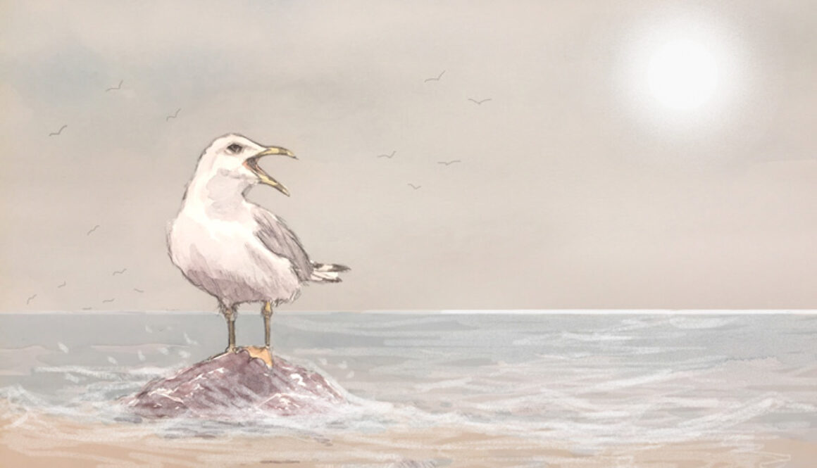 A Summer's Tide by Jane Griffiths-Jones