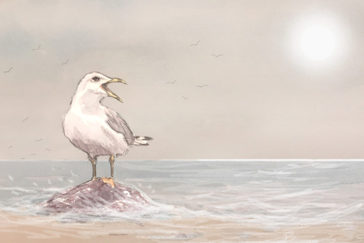 A Summers Tide