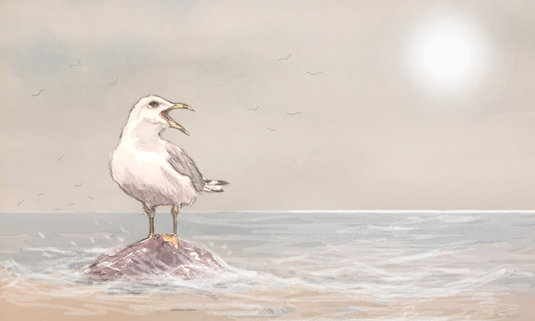 A Summer's Tide by Jane Griffiths-Jones