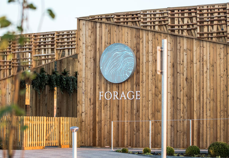 Forage Farm Shop