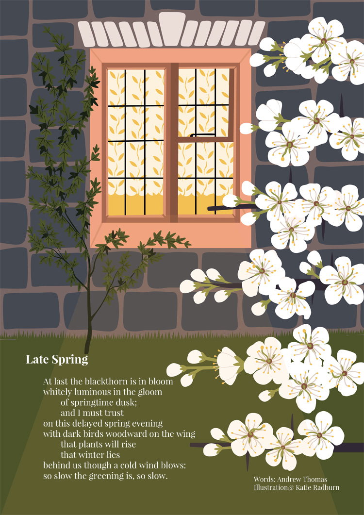 Late Spring by Andrew Thomas