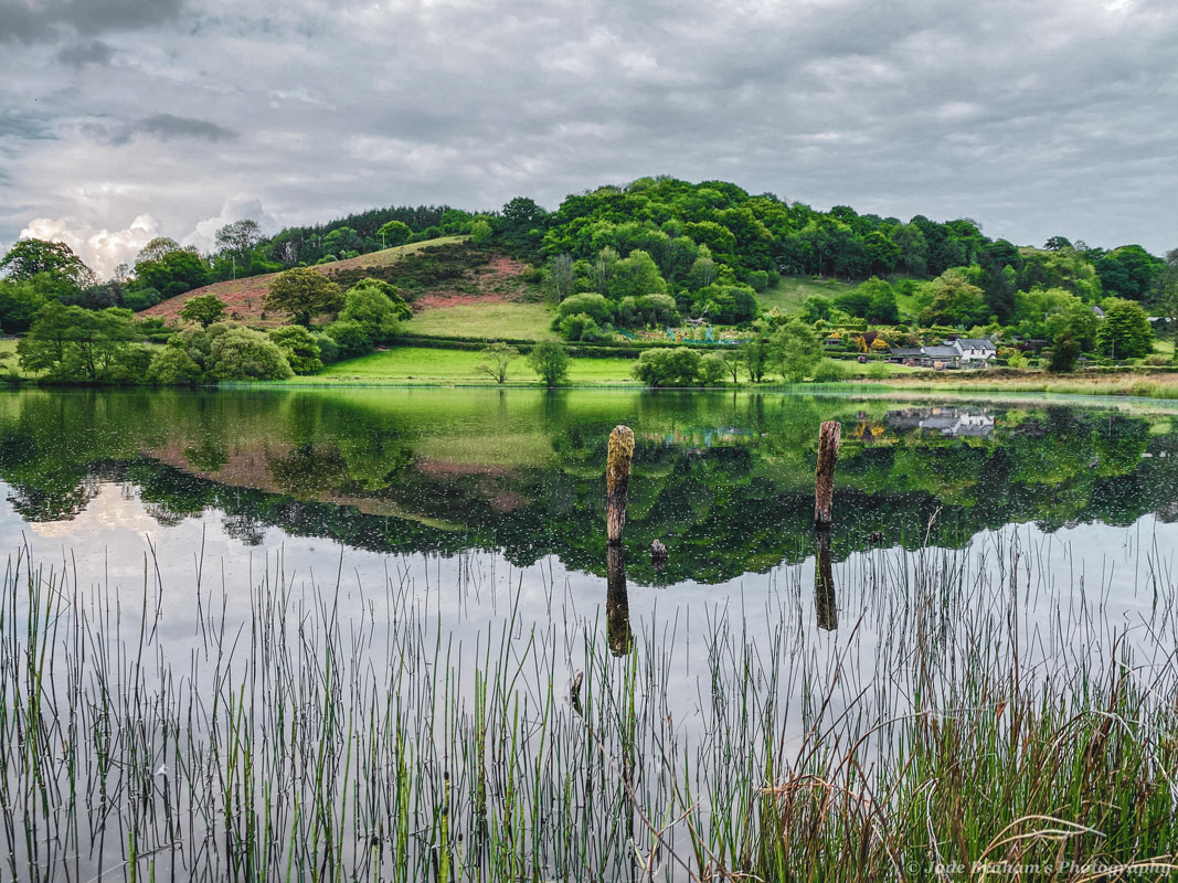 Upper Talley Lake