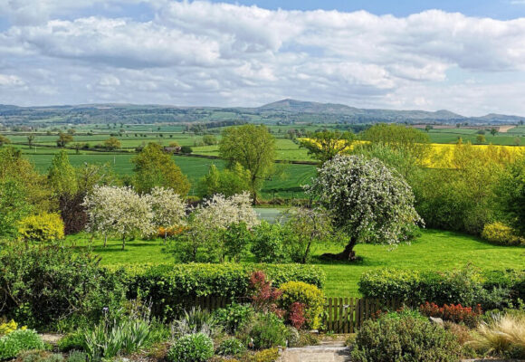 Cwm Farm - The Early Summer Garden