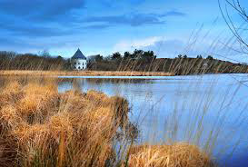 Llyn Llech Owain