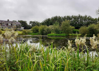 Ffynnon Las - The Early Summer Garden