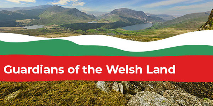 ‘Guardians of the Welsh Land’ - FUW campaign highlights farmings positive impact on the environment
