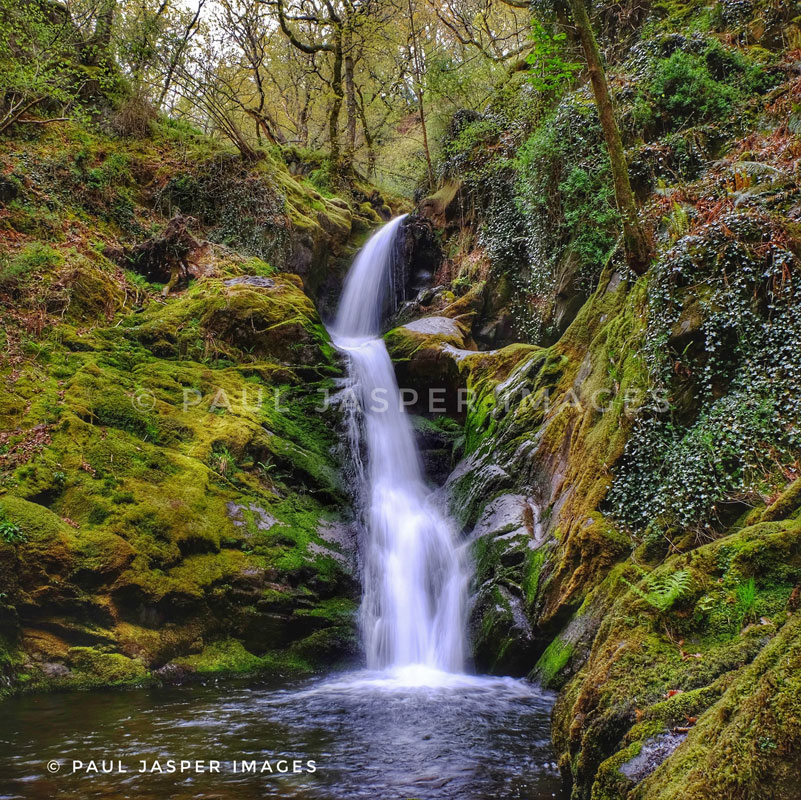 Dolgoch Falls nr Tywyn in Snowdonia.