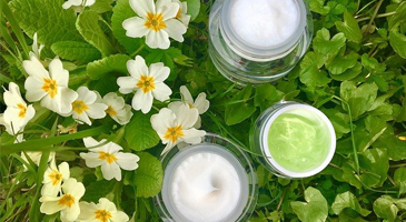 Pamper