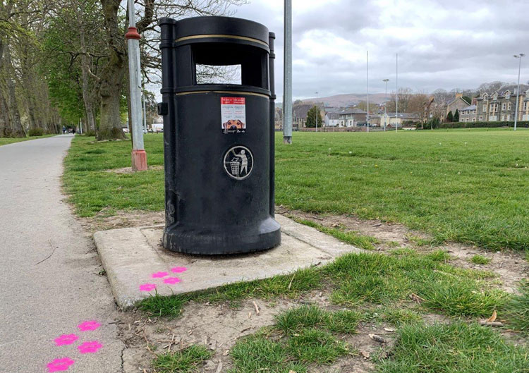 Paw prints lead Powys dog owners to the bin