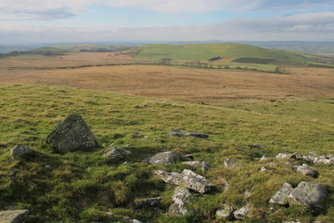 Open Spaces Society Helps Save Ceredigion Common from Ugly Fencing