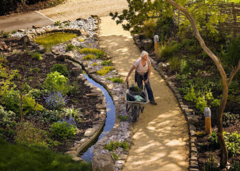 Skanda Vale Hospice - The Early Summer Garden