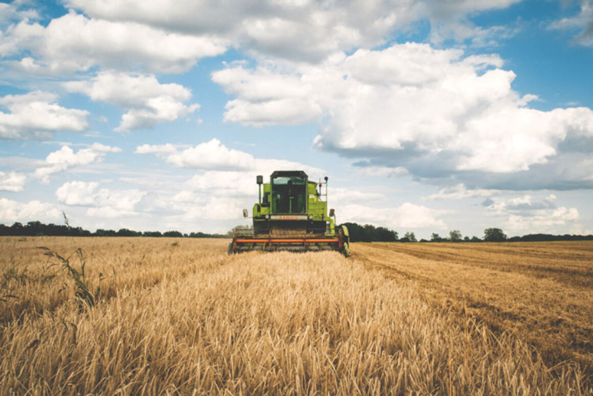 Why Effective Regulation is so Important Along the Food Chain