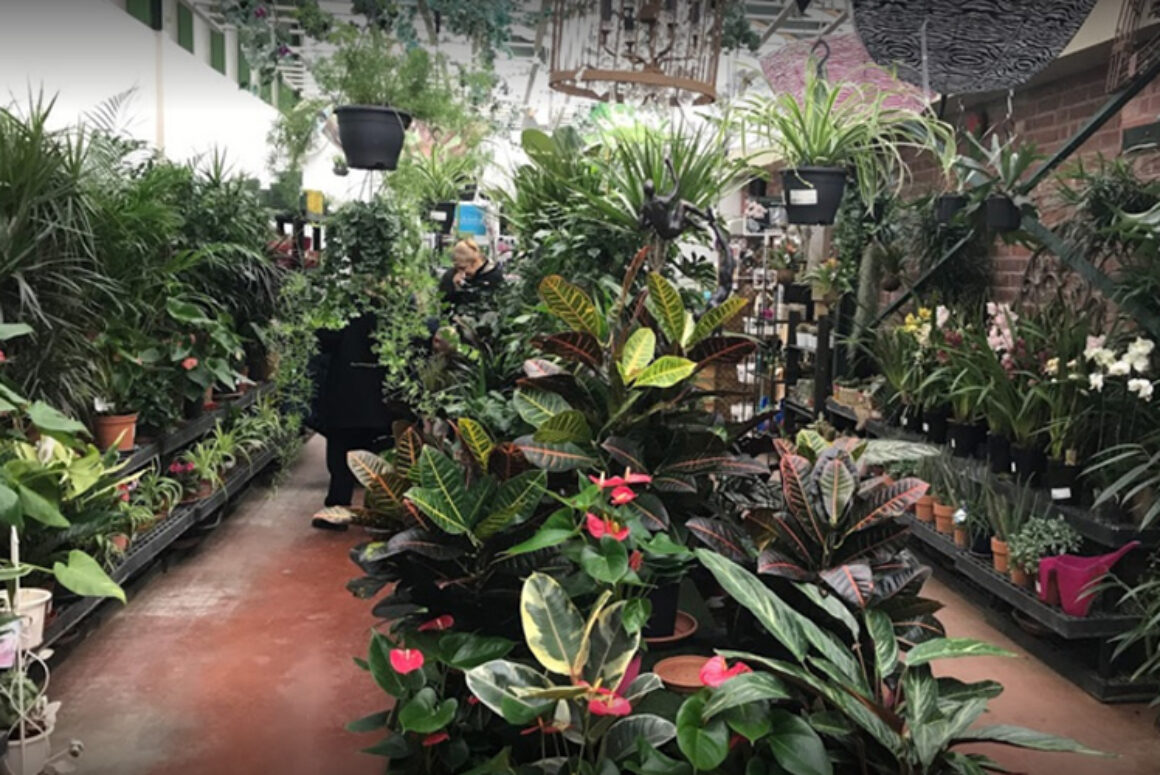 Derwen Garden Centre