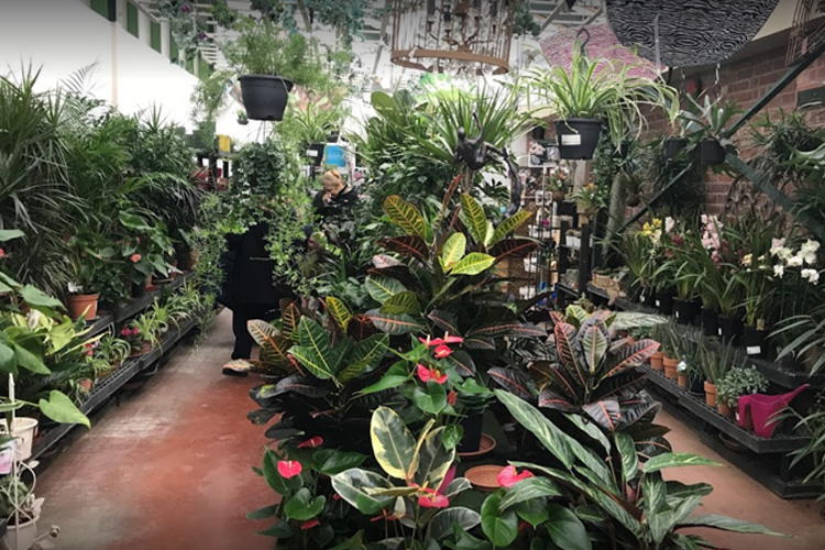 Derwen Garden Centre