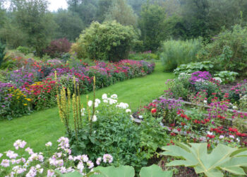 Glyn Bach - The High Summer Garden