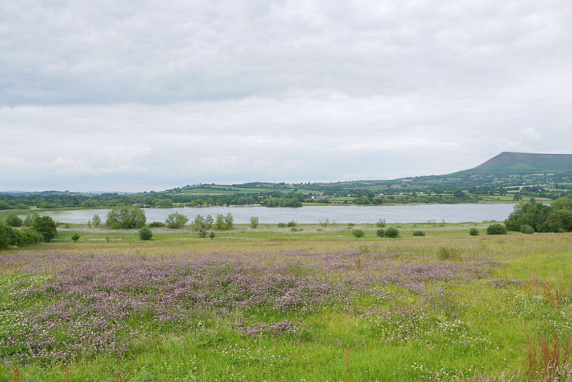 Blue-Green Algae Found at Llangorse Lake