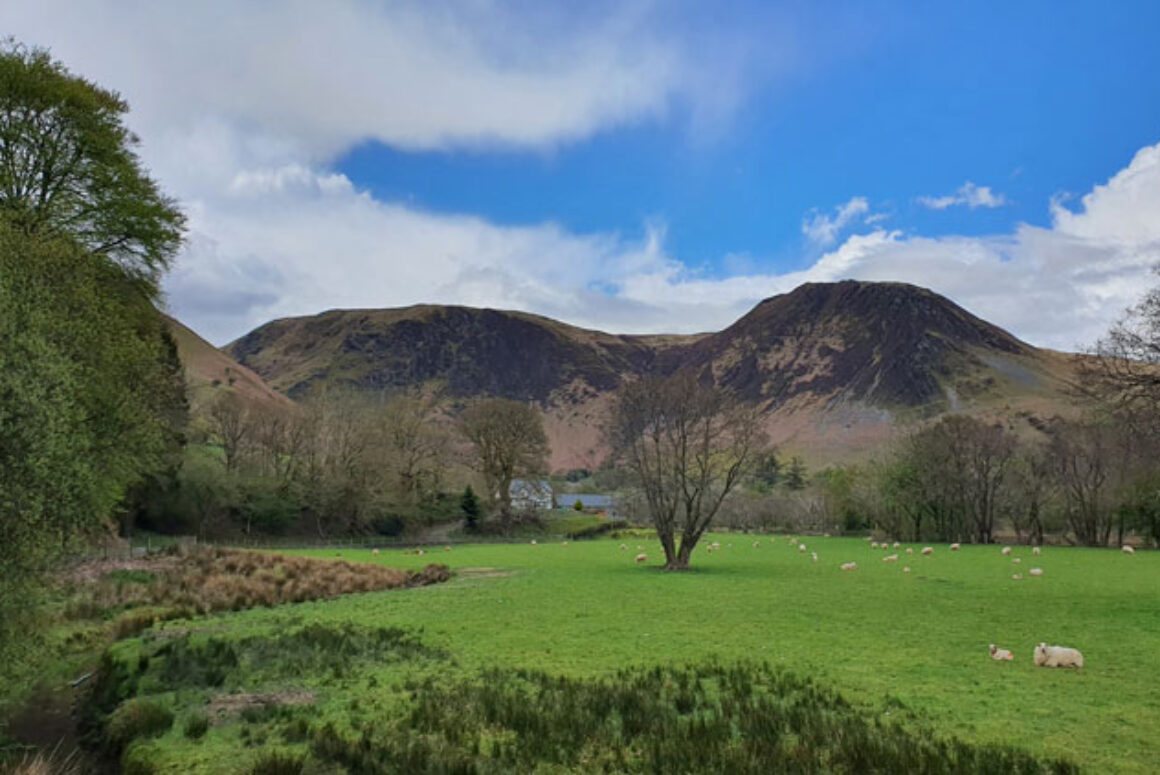 Food Production and Looking After the Environment