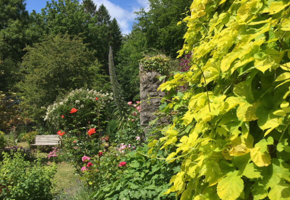 Plas Llwynonn
