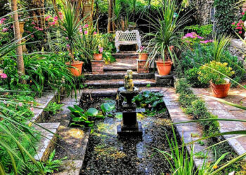 Westcliffe - The High Summer Garden