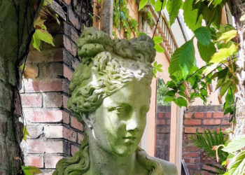 Westcliffe - The High Summer Garden