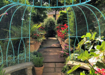 Westcliffe - The High Summer Garden