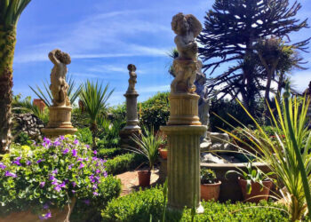 Westcliffe - The High Summer Garden