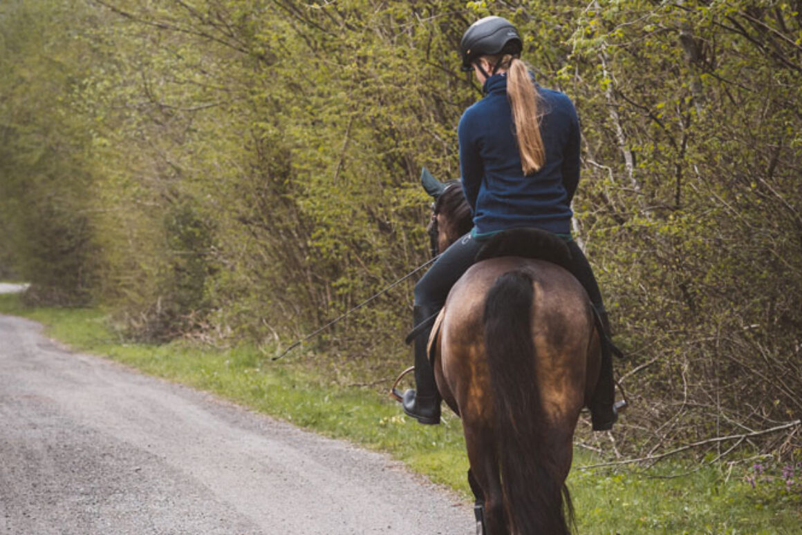 How Safe is it to Ride a Horse on the Roads of Wales?