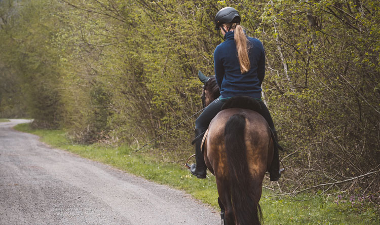 horseback-riding-6281476