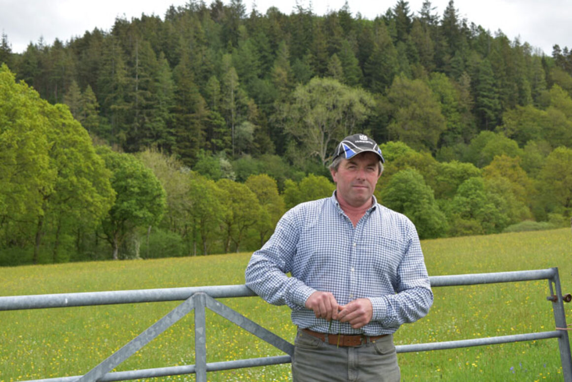 Nature Conservation is at the Heart of Montgomeryshire Beef and Sheep Farm