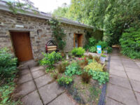 Edies Tea Room