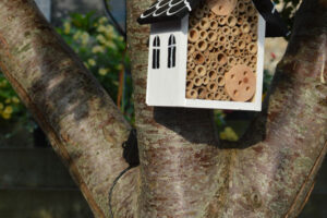 Insect Hotel