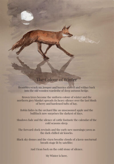 The Colour Of Winter - Poem