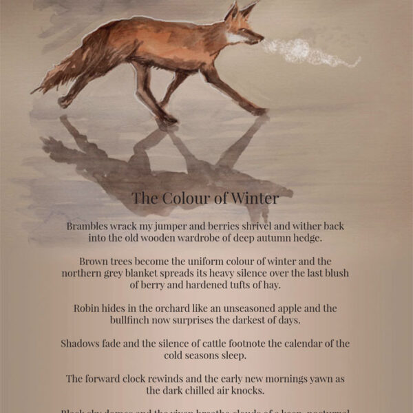  The Colour Of Winter - Poem