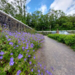 Scolton Manor - Walled gardens