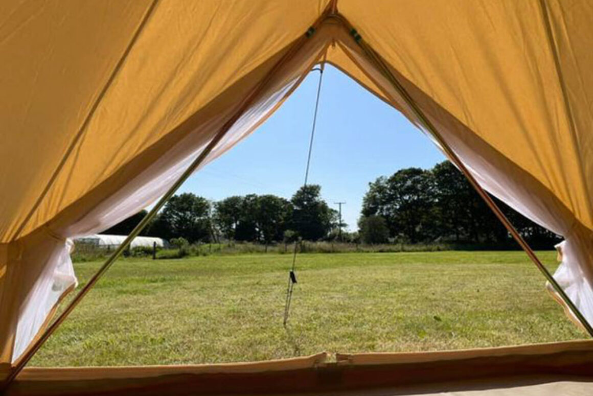 The Paddock Camping