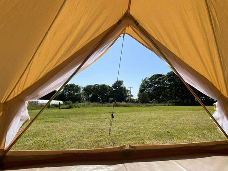 The Paddock Camping