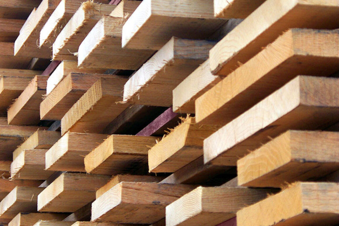 Council Leads Way to Use Welsh Timber in Construction