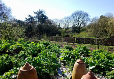 Erlas Victorian Walled Garden