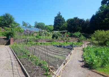 Erlas Victorian Walled Garden