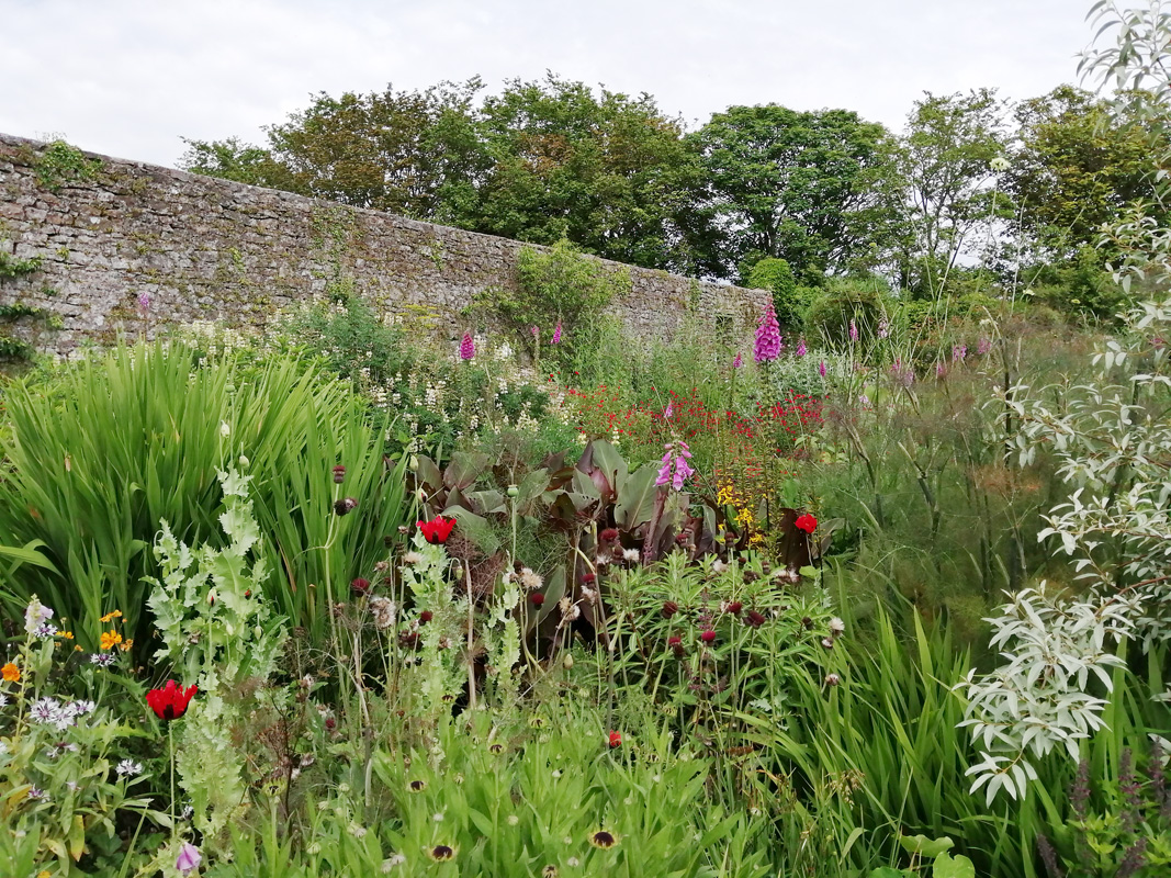 Lamphey Walled Garden