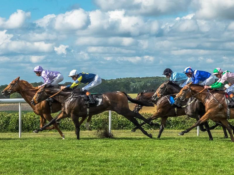 Horse Racing in Wales