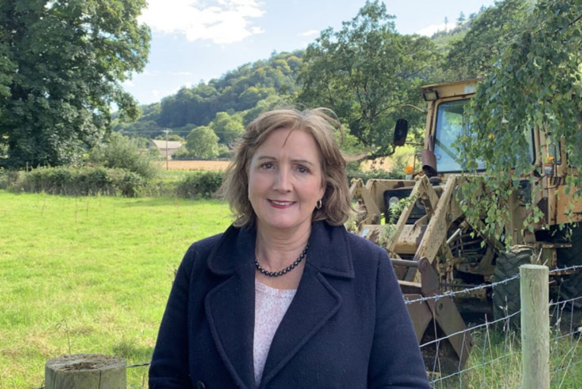 Public urged to buy local as part of Waste Free Lunches drive Public Urged to Buy Local as Part of Waste Free Lunches Drive