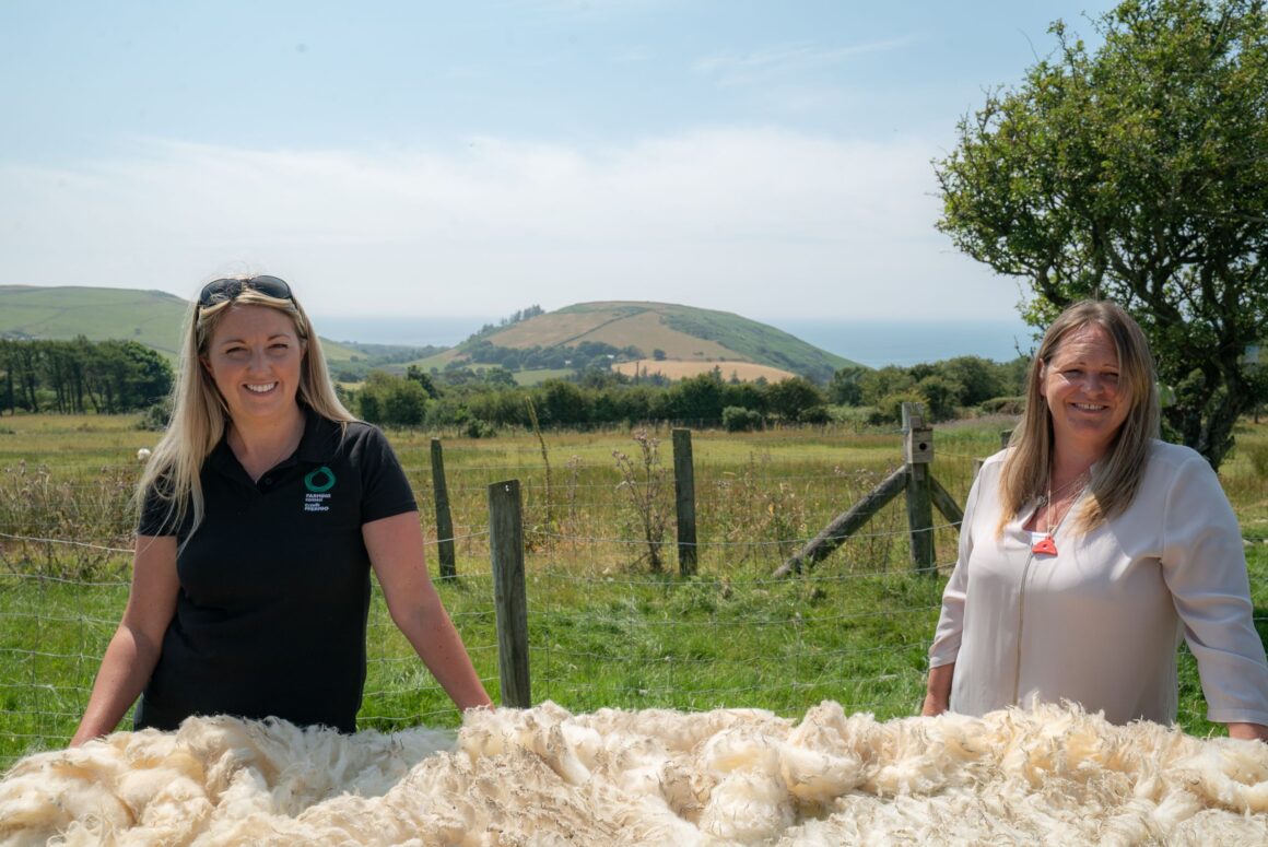 Dual Purpose Sheep? Wool and Meat