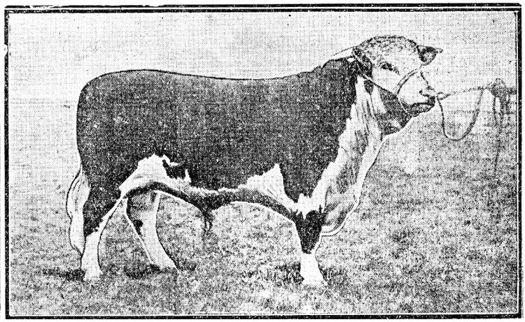 September 1854