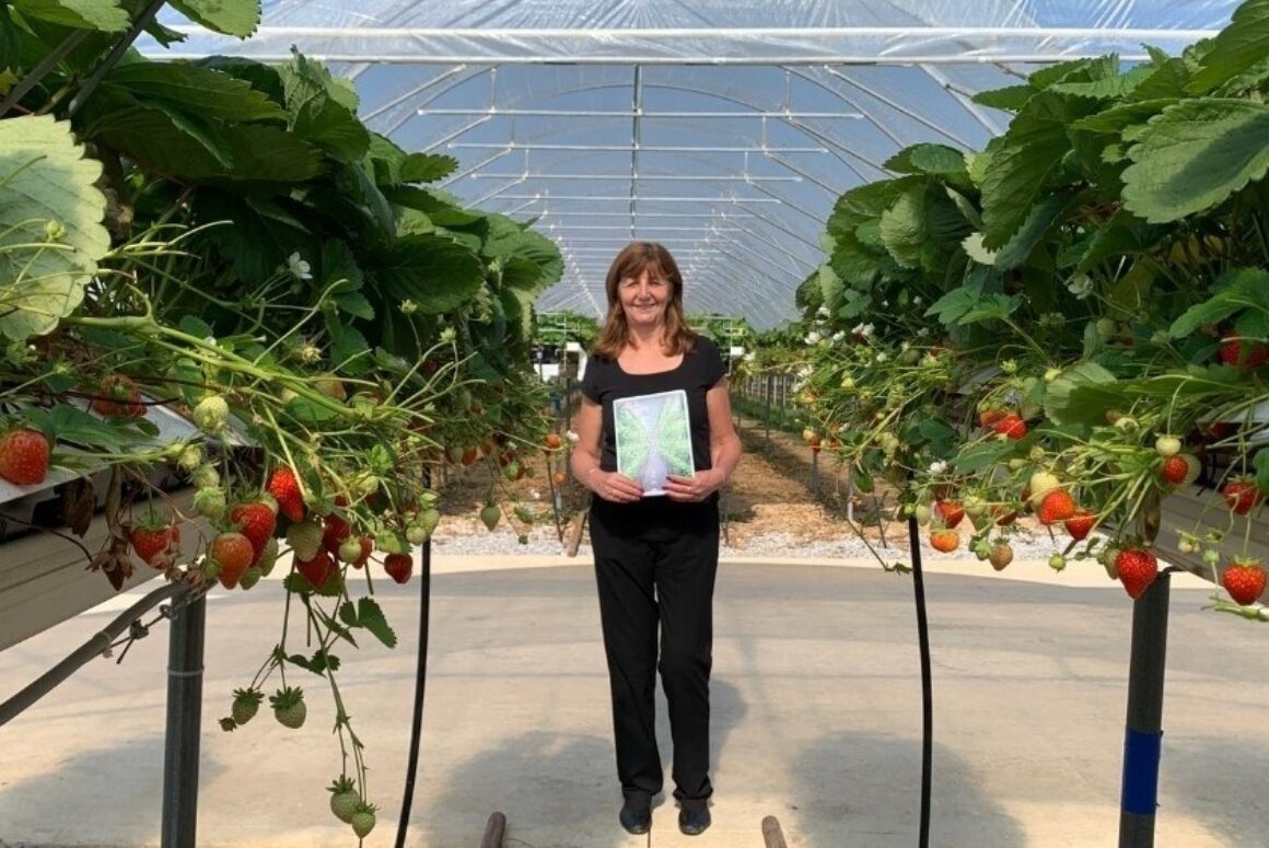 Controlled Environment Agriculture and Innovative Food Growing in Wales