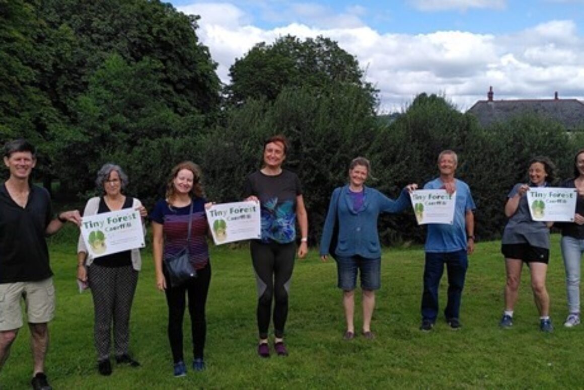 Caerphilly Move Forward with Tiny Forest