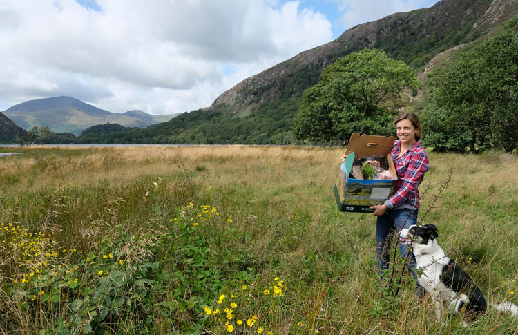 Young North Wales beef and sheep farming couple embrace food production and conservation