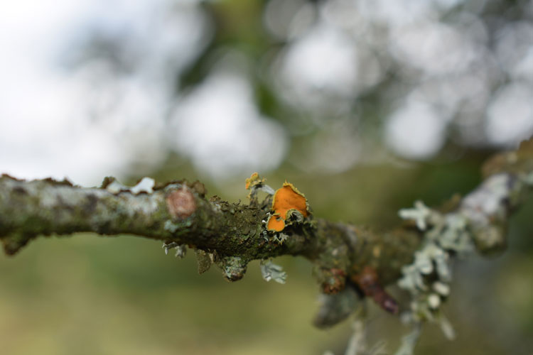 Ecologist Joe Hope highlights industries crucial role in sustainable food production and habitat conservation