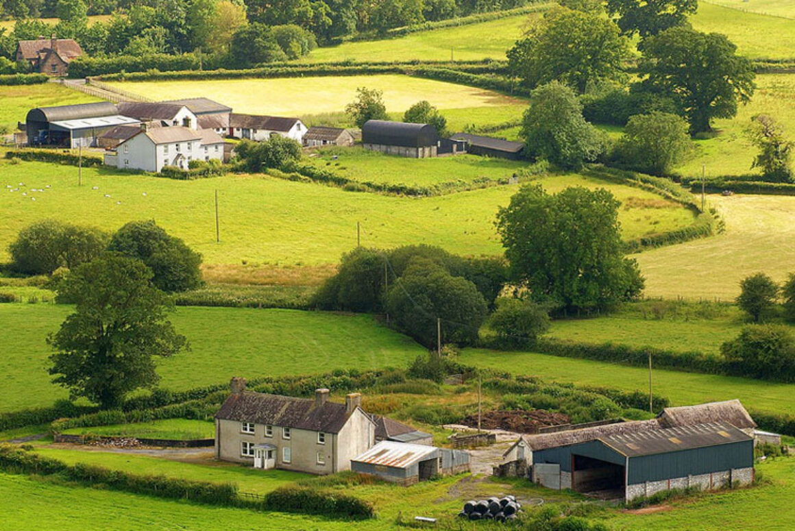 Could Drive-In Bingo be On the Cards for Rural Wales?